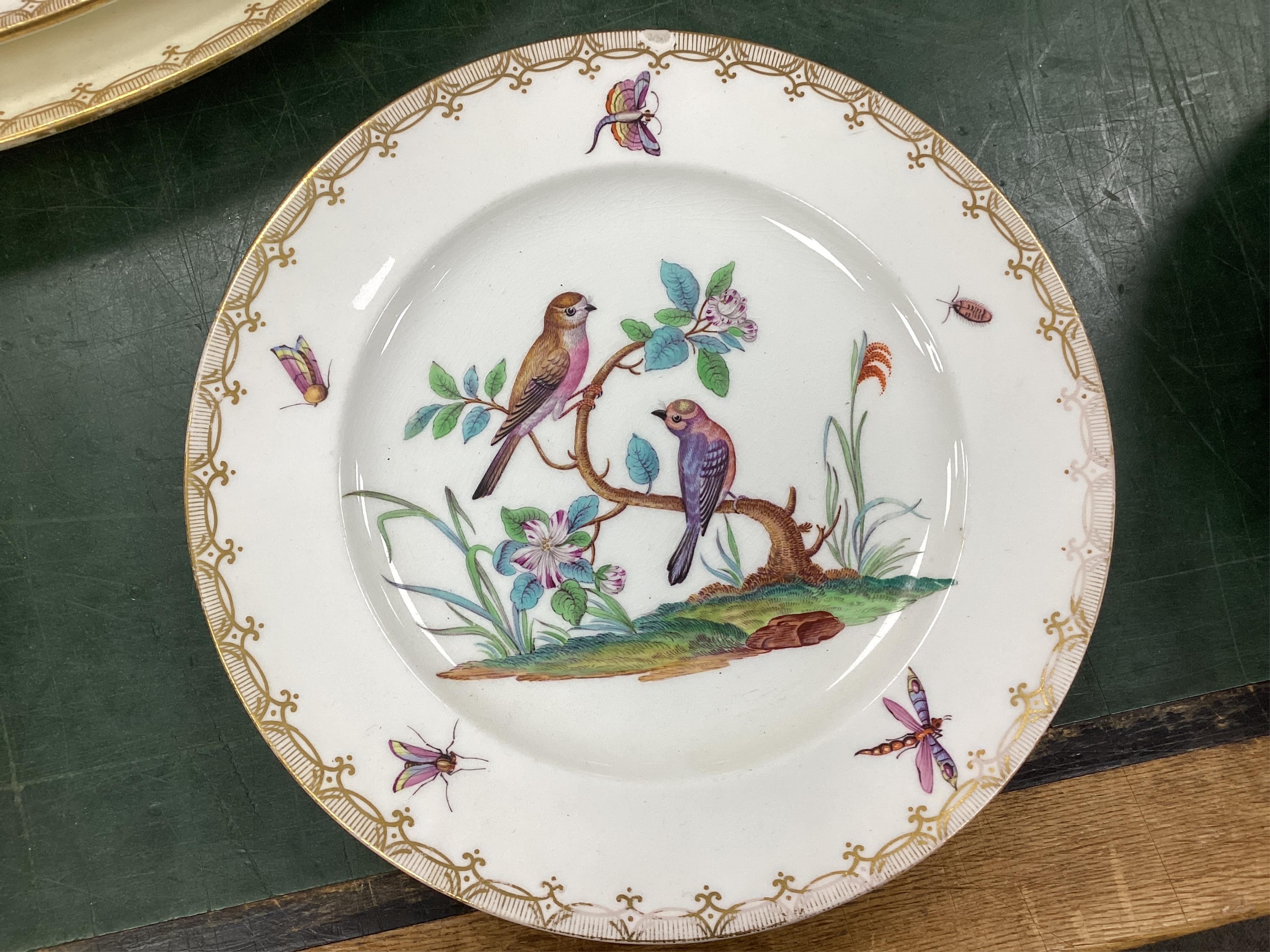 A Coalport bird painted part dinner service, mid 19th century